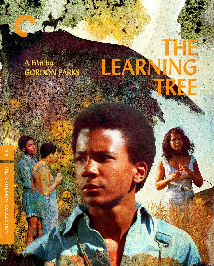 The Learning Tree Criterion Collection Blu Ray Review A Semi   Cc The Learning Tree 