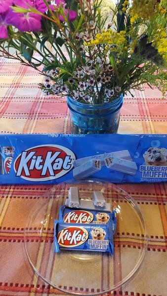 KitKat blueberry muffin in a plate on table