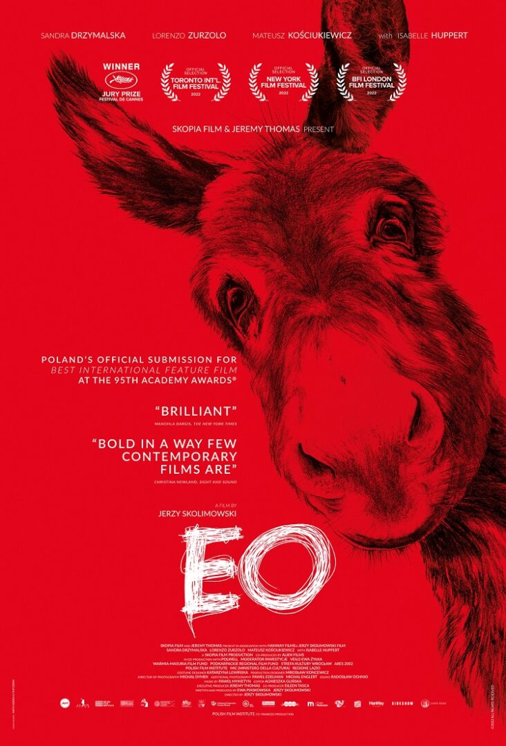 movie review for eo