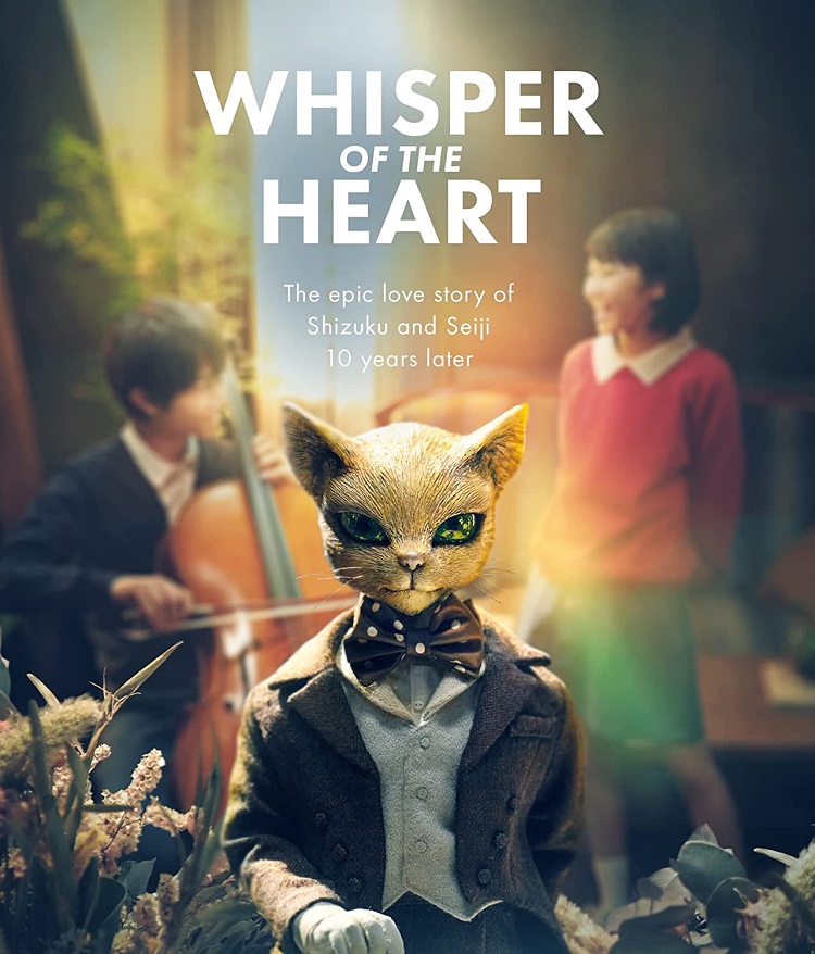The poster for whisper of the heart.