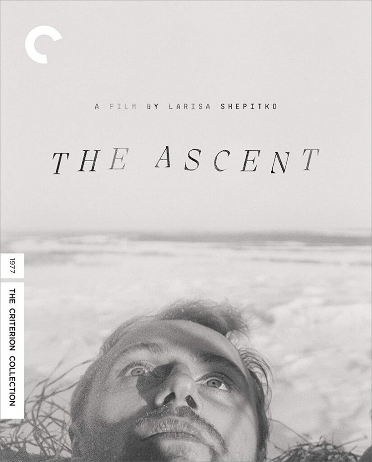 Criterion Collection Archives - Cinema Sentries