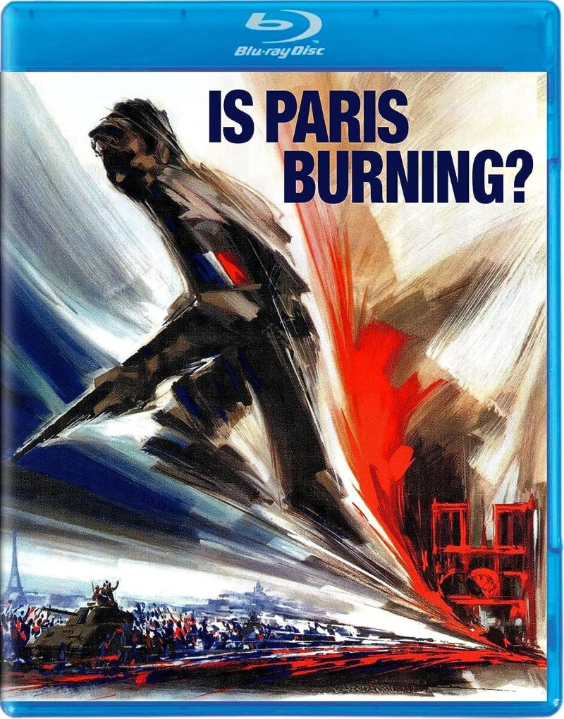 Is Paris Burning Movie DVD Poster With a Character