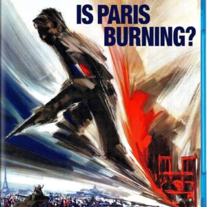 Is Paris Burning Movie DVD Poster With a Character