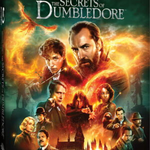 DVD Cover of the movie The Secrets of Dumbledore
