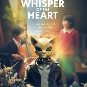 The poster for whisper of the heart.